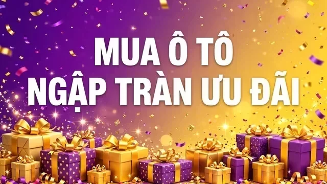 Địa điểm hỗ trợ xem xe tại Lai Châu